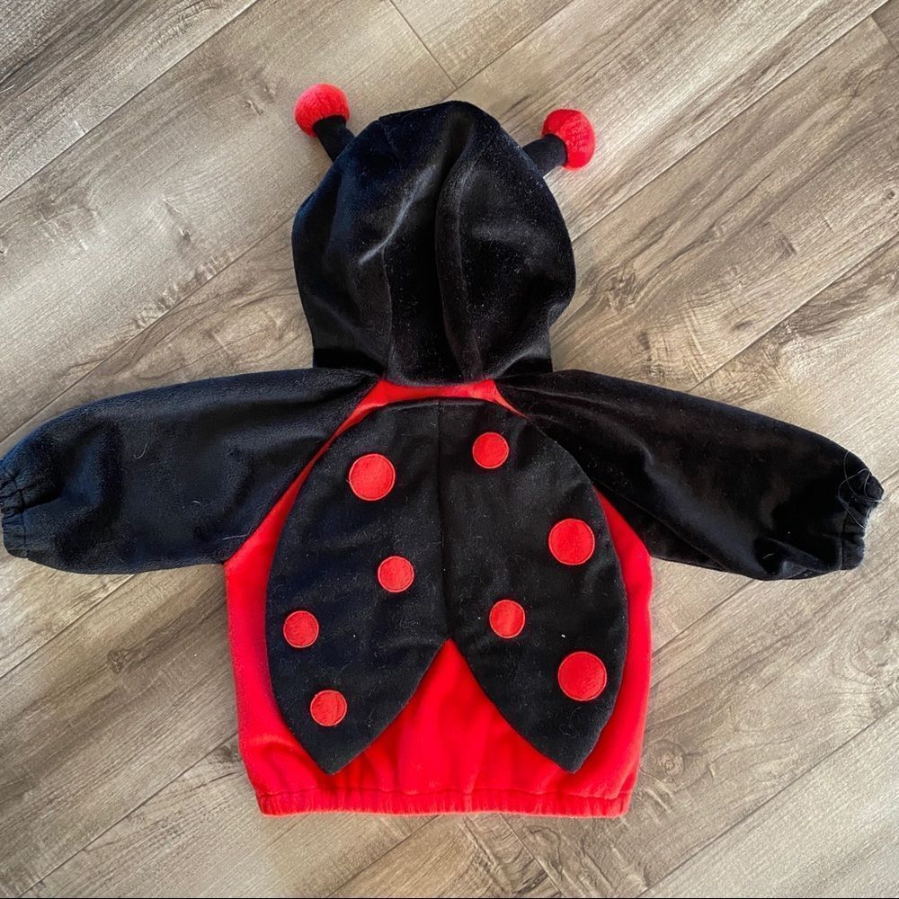 First Moments Lady Bug Outfit / Costume size 3/6 months - Picture 6 of 11